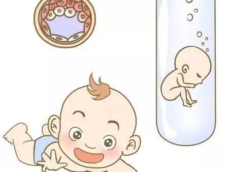 关于暖阳生殖